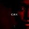 C.R.Y. - Samysam Beats lyrics