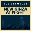 New Ginza At Night, 2014