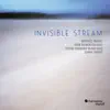 Invisible Stream album lyrics, reviews, download