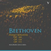 Beethoven: Piano Sonatas, Opp. 109-111 artwork