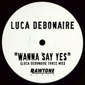 Wanna Say Yes (Luca Debonaire Force Mix) artwork