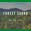 Sleep, Study and Focus with Forest Sound album lyrics, reviews, download