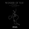 Wonder of You album lyrics, reviews, download