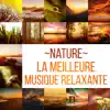 Nature: La meilleure musique relaxante, vagues océaniques hypnotiques, sons calmes de la pluie, bruit blanc, chutes d'eau de guérison et chants d'animaux pour réduire le stress album lyrics, reviews, download