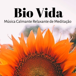 Alma - Desejamos um Feliz Dia