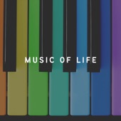 Music of Life artwork