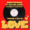 Feeling a lot of Love (feat. Heather Renee) - Single album lyrics, reviews, download