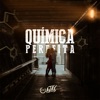 Química Perfeita - Single