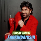 Farkındamısın artwork