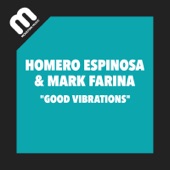 Good Vibrations (Main Mix) artwork
