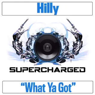 baixar álbum Hilly - What Ya Got