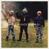 Wolf Parade - Palm Road