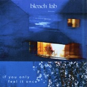 Bleach Lab - Pale Shade of Blue