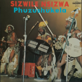 Inyoni Yamasoka - Phuzushukela