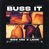 Buss It artwork