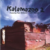 Kalamazoo 2 artwork