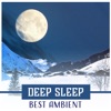 Deep Sleep Best Ambient: Pink Dreams, Music for Trouble Sleeping, Delicate Noise of Nature, Yoga Nidra, Peaceful Zen Moments, Soothing Feelings, Restful Nap