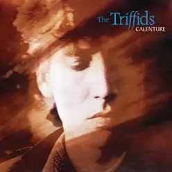 Calenture - The Triffids