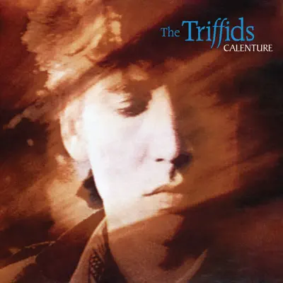 Calenture - The Triffids