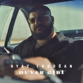 Duvar Gibi artwork