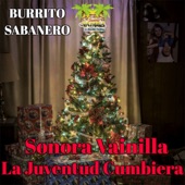 Burrito Sabanero artwork