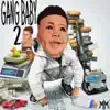 Gang Baby 2 album lyrics, reviews, download