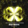 Irish Groove (feat. Or Barak) song lyrics