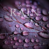 Soothing Rain artwork