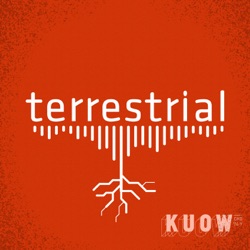 Preview: terrestrial