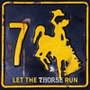 Let the 7Horse Run