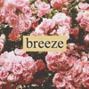 Breeze (feat. Curfew) - Single