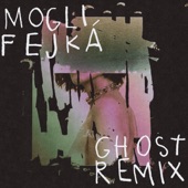 Ghost (Fejká Remix) artwork