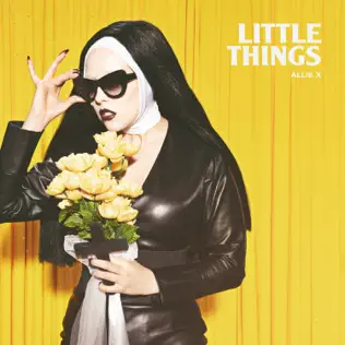 ladda ner album Allie X - Little Things