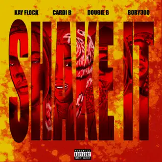 Shake It (feat. Bory300) - Single by Kay Flock, Cardi B & Dougie B album reviews, ratings, credits