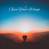 Open Your Wings artwork