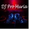THICK AND THIN SKA VERSION VIRAL TIKTOK (Faouzia) - DJ PRO MURIA lyrics