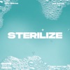 Sterilize (feat. Ricky Desktop) - Single