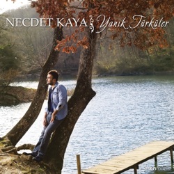 Necdet Kaya - Nem Kaldı