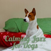 Calming Jazz for Dogs artwork