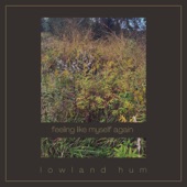 Lowland Hum - Feeling Like Myself Again