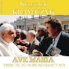 Krzysztof Krawczyk - Apel Jasnogórski