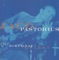 Amerika  (Live 1981) - Jaco Pastorius Big Band lyrics