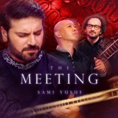 The Meeting (Live) artwork