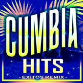 Puño de Diamantes (feat. El Jarra) [Remix] artwork