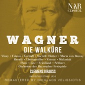 Wagner: Die Walküre artwork