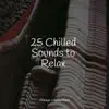 25 Chilled Sounds to Relax album lyrics, reviews, download