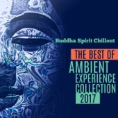 Buddha Spirit Chillout: The Best of Ambient Experience Collection 2017 – Lounge Music (Erotica Bar) artwork