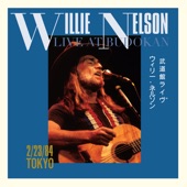 Live At Budokan artwork