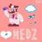 Medz - Slee lyrics