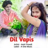 Dil Vapis - Single